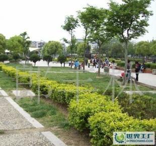 路邊石 路沿石 花崗巖石材_世界工廠網中國產品信息庫
